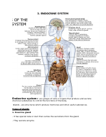 Endocrine xsystem(1).pdf